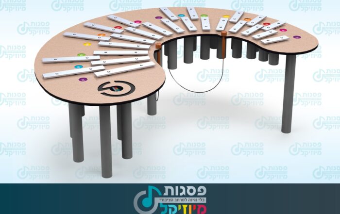 אורגן MU-P9602, פסגות מיוזיקל, כלי נגינה במרחב הציבורי